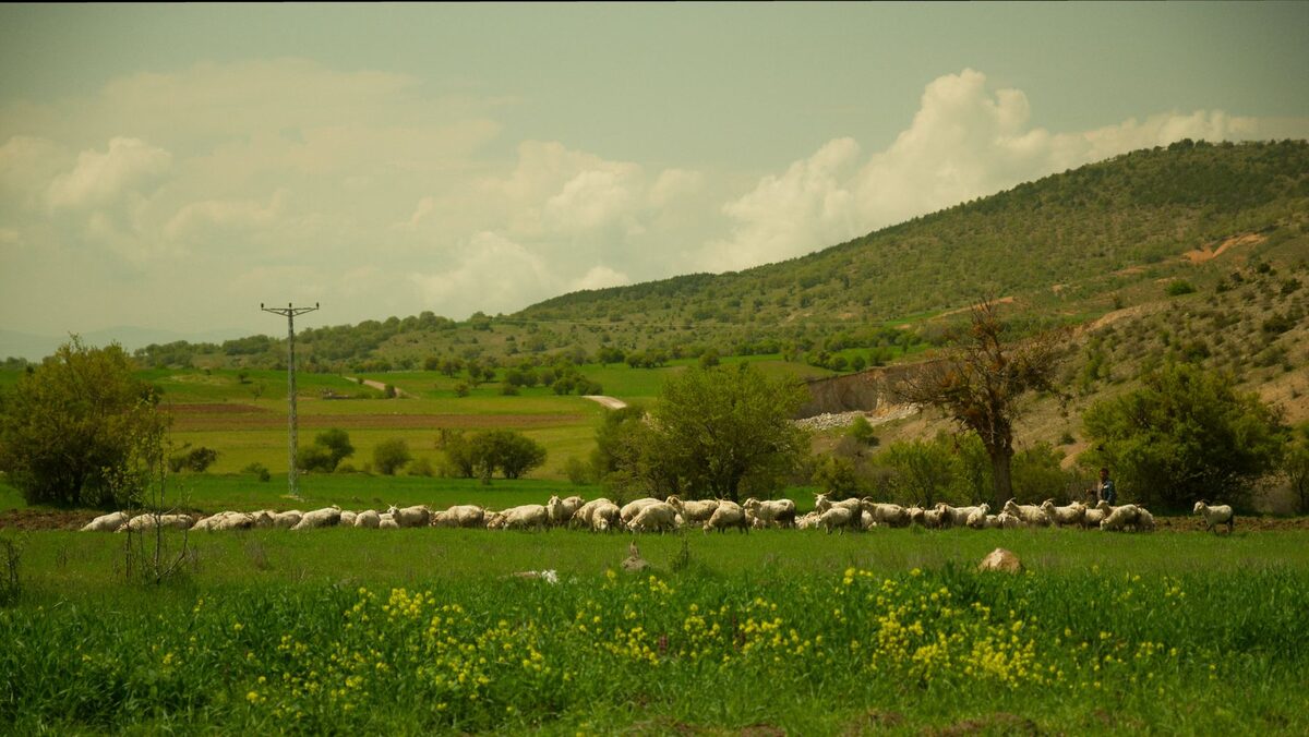 İç Anadolu sahasında mobil sağlık hizmeti